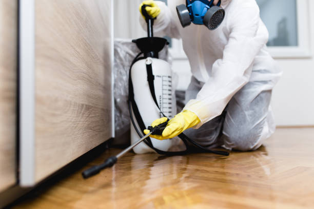 Best Termite Control Services  in Jamestown, NY