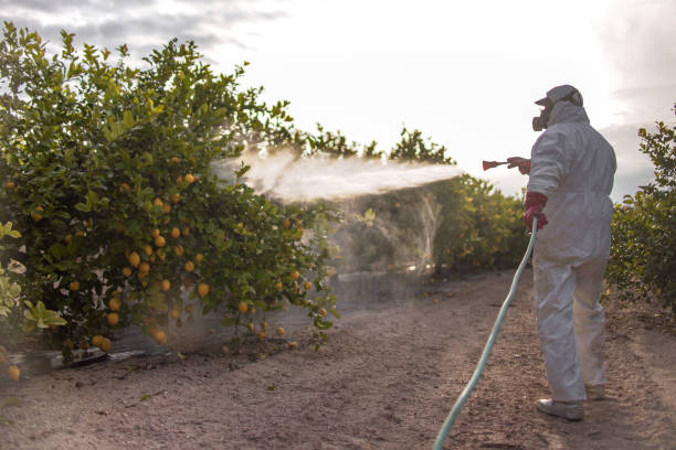 Best Exterminator Services  in Jamestown, NY