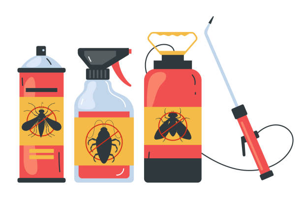 Best Wasp Removal Services  in Jamestown, NY