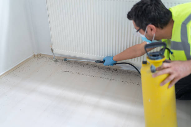 Best Emergency Pest Control  in Jamestown, NY